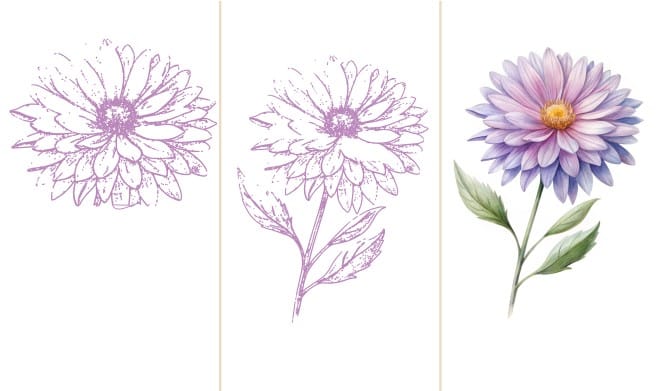 how to draw an aster