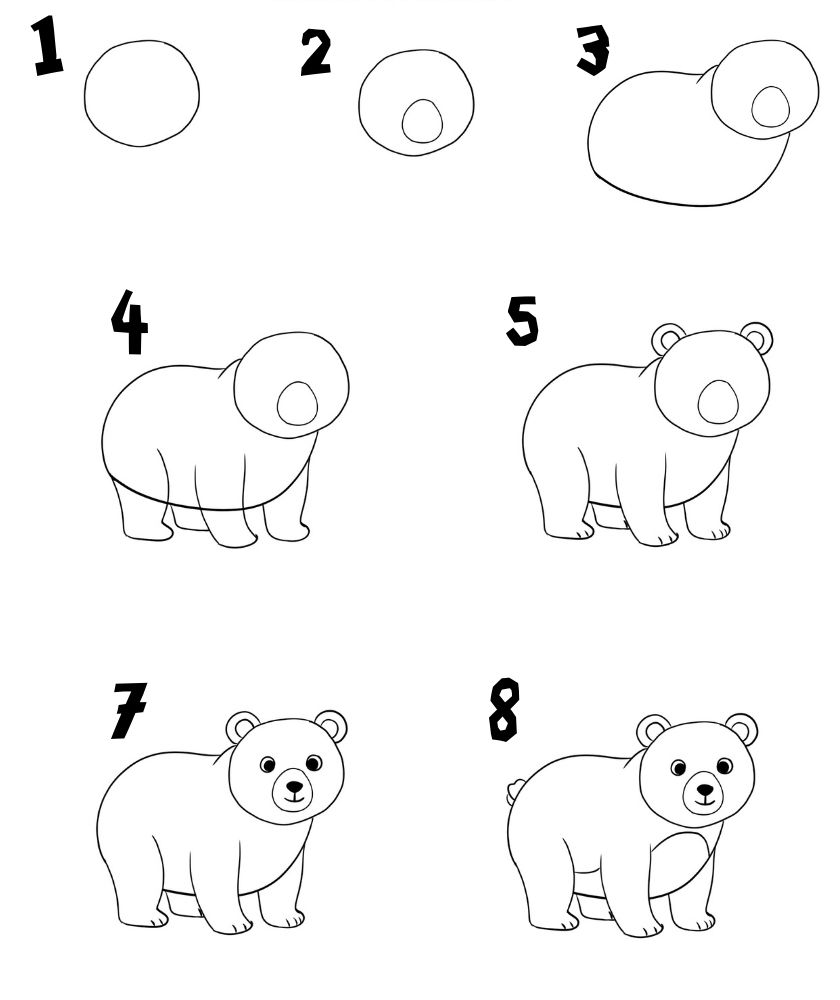 step by step bear drawing instructions