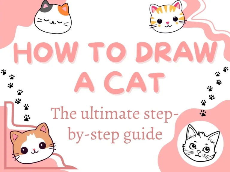 how to draw a cat cover image