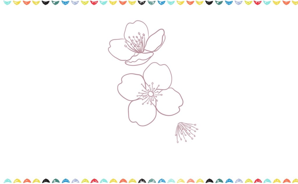 how to draw a cherry blossom step 7 sakura flower