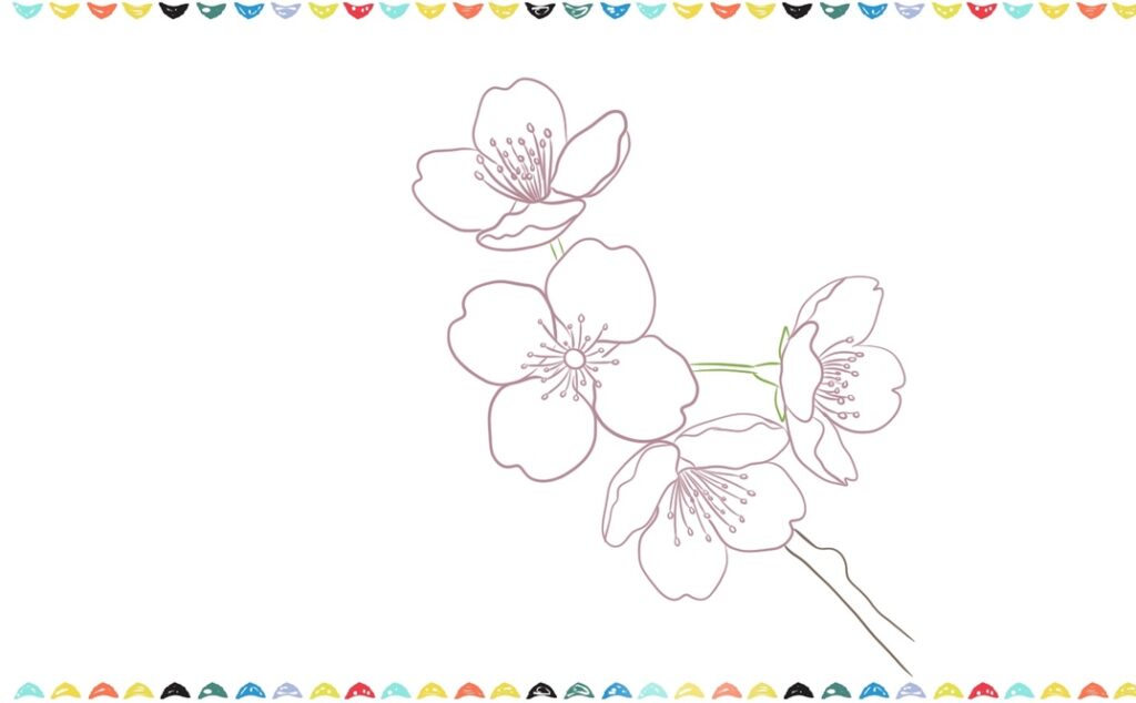 how to draw a cherry blossom step 9