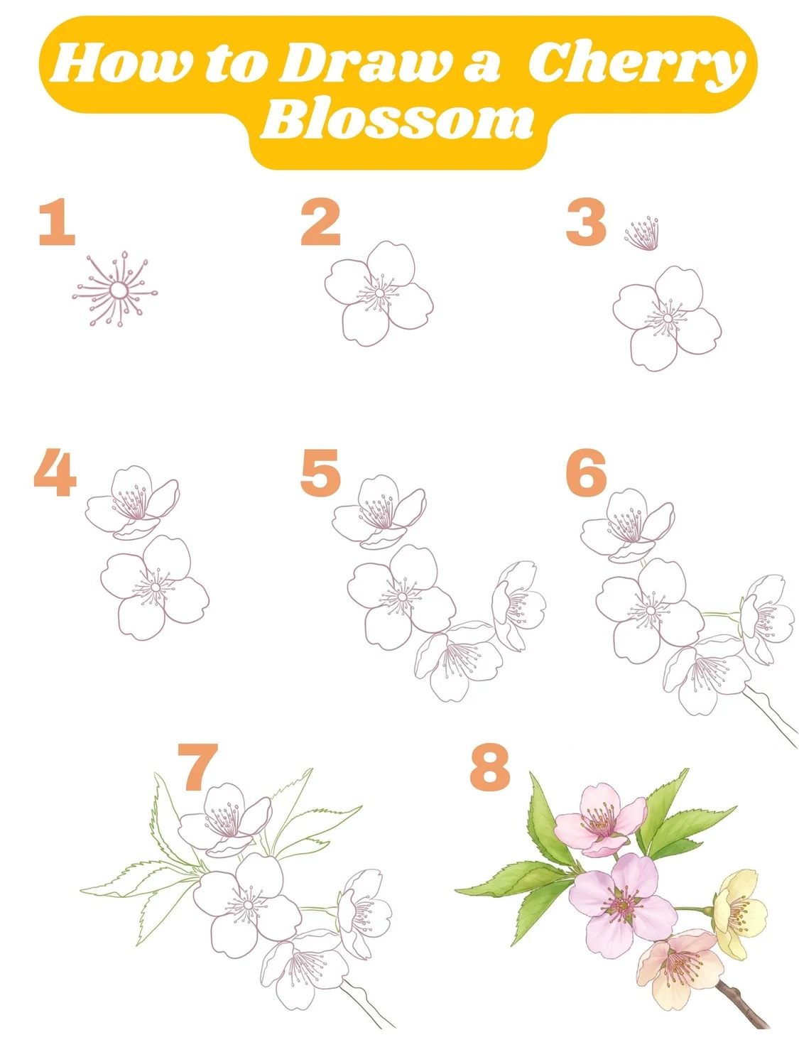 how to draw a cherry blossom step by step instructions