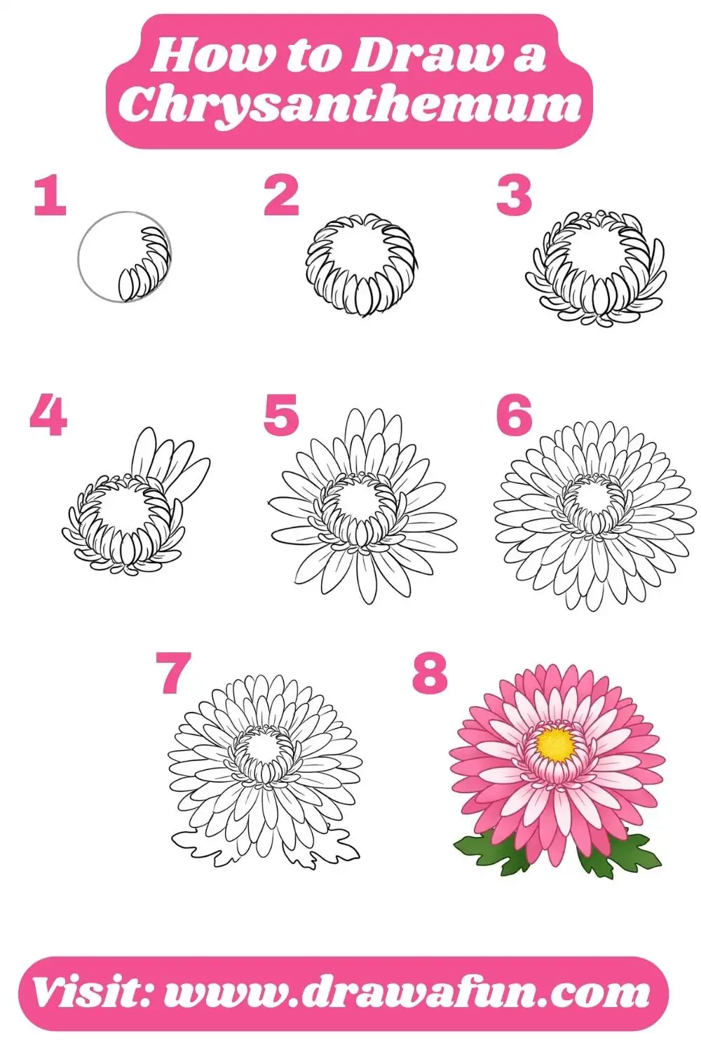 how to draw a Chrysanthemum easy
