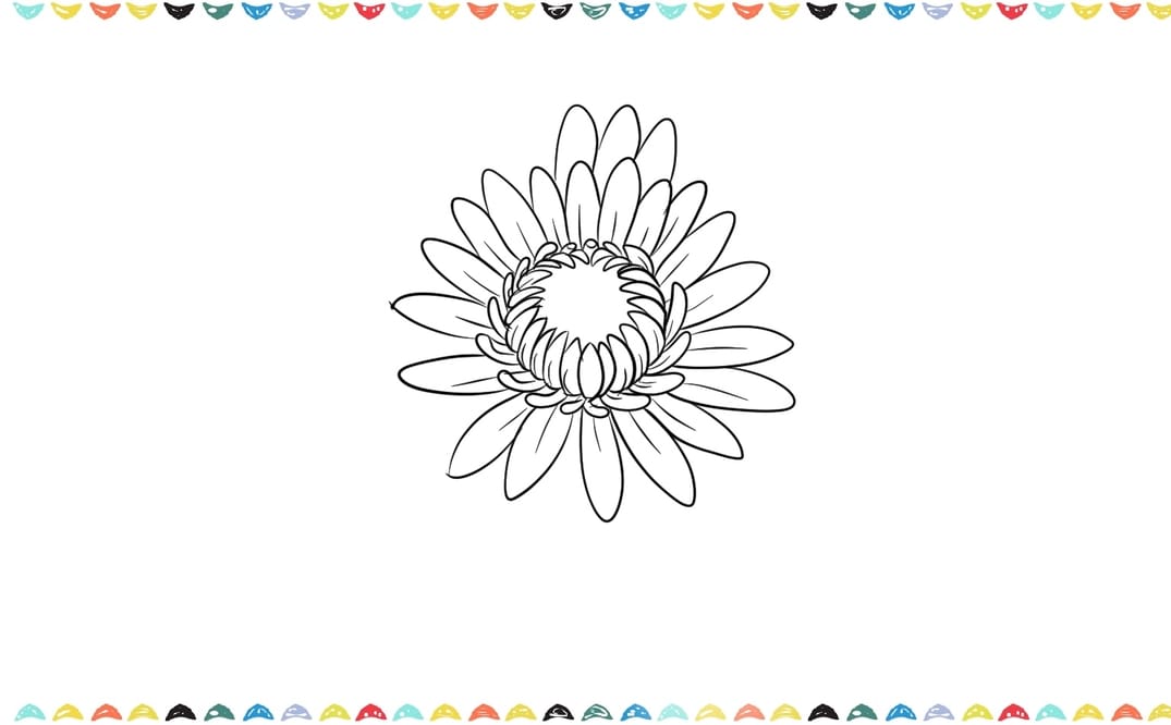 how to draw a chrysanthemum step 7
