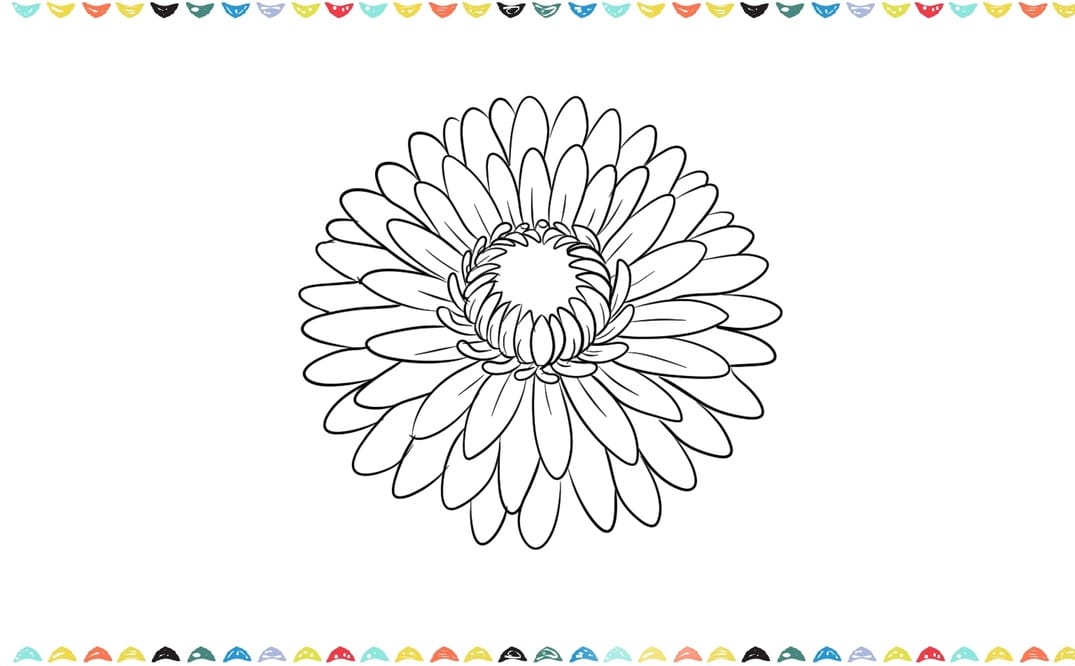 how to draw a chrysanthemum step 8