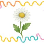 drawing a daisy step by step