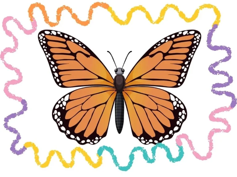 how to draw a monarch butterfly cover image