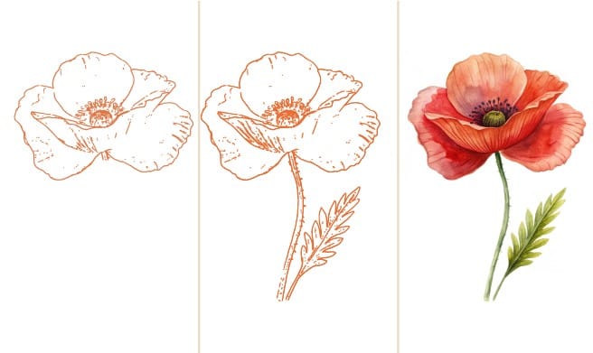 how to draw a poppy flower