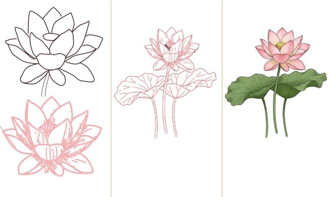 how to draw a lotus flower easy