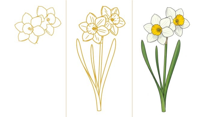how to draw narcissus flower