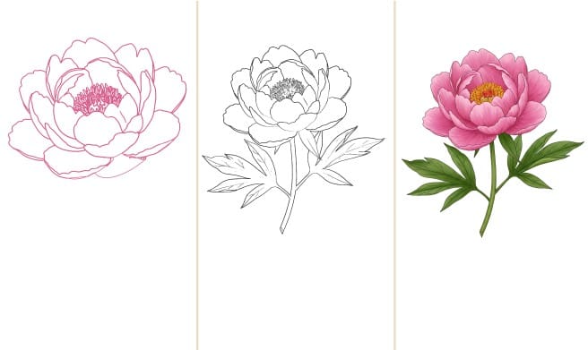 how to draw a peony flower