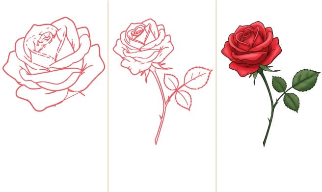 how to draw a rose