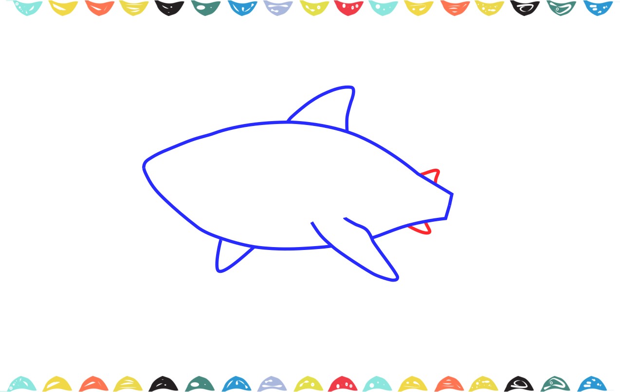how to draw a shark step 6 draw back fins