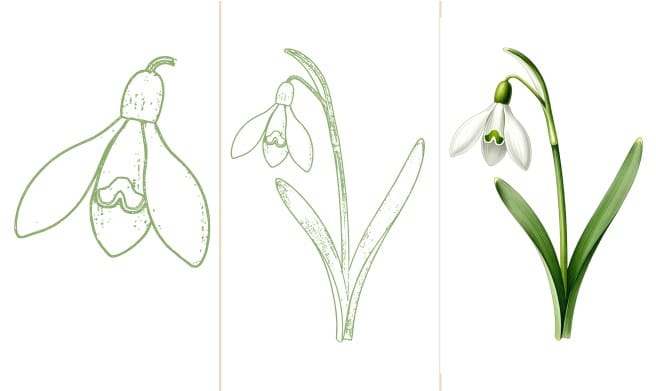 how to draw a snowdrop