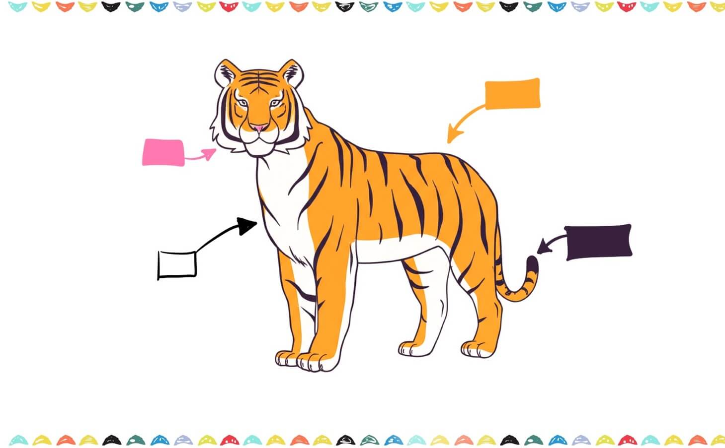 how to sketch a tiger - colors step 11