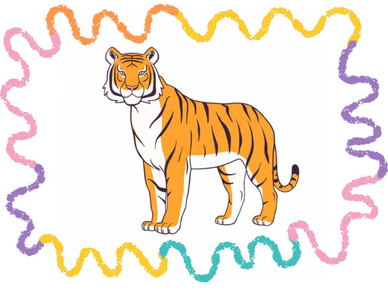 how to draw a tiger step by step