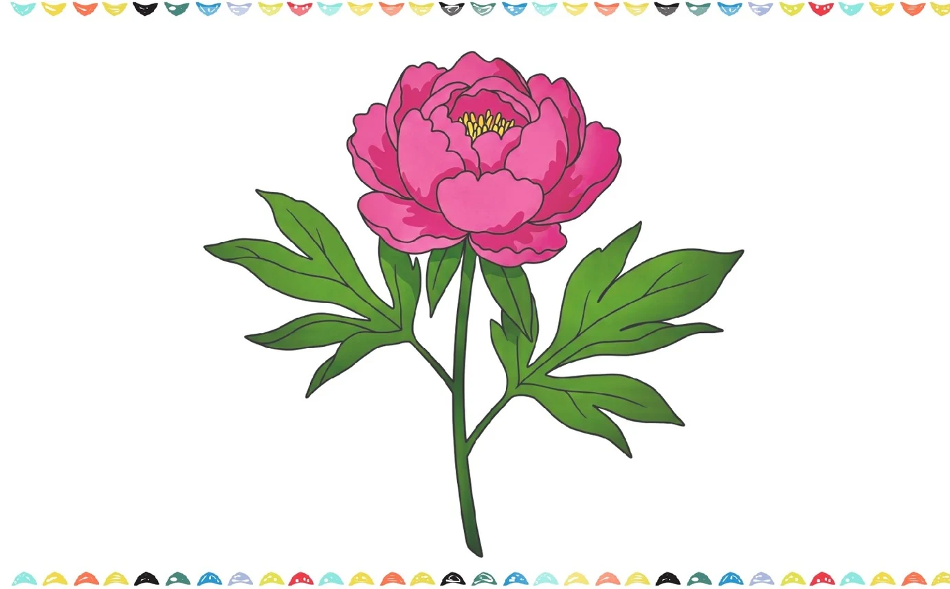 how to draw a peony - finished drawing with colors step 10