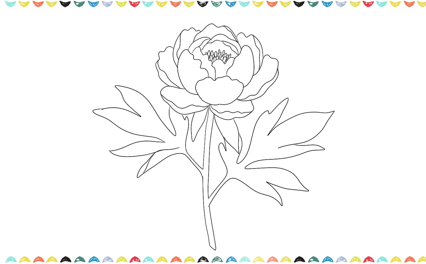sketch the leaves for the peony flower drawing step 8