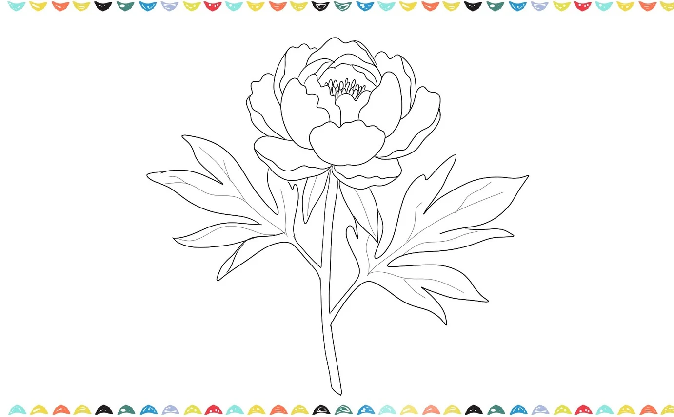 add veins to the leaves fo the poeny drawing step 9