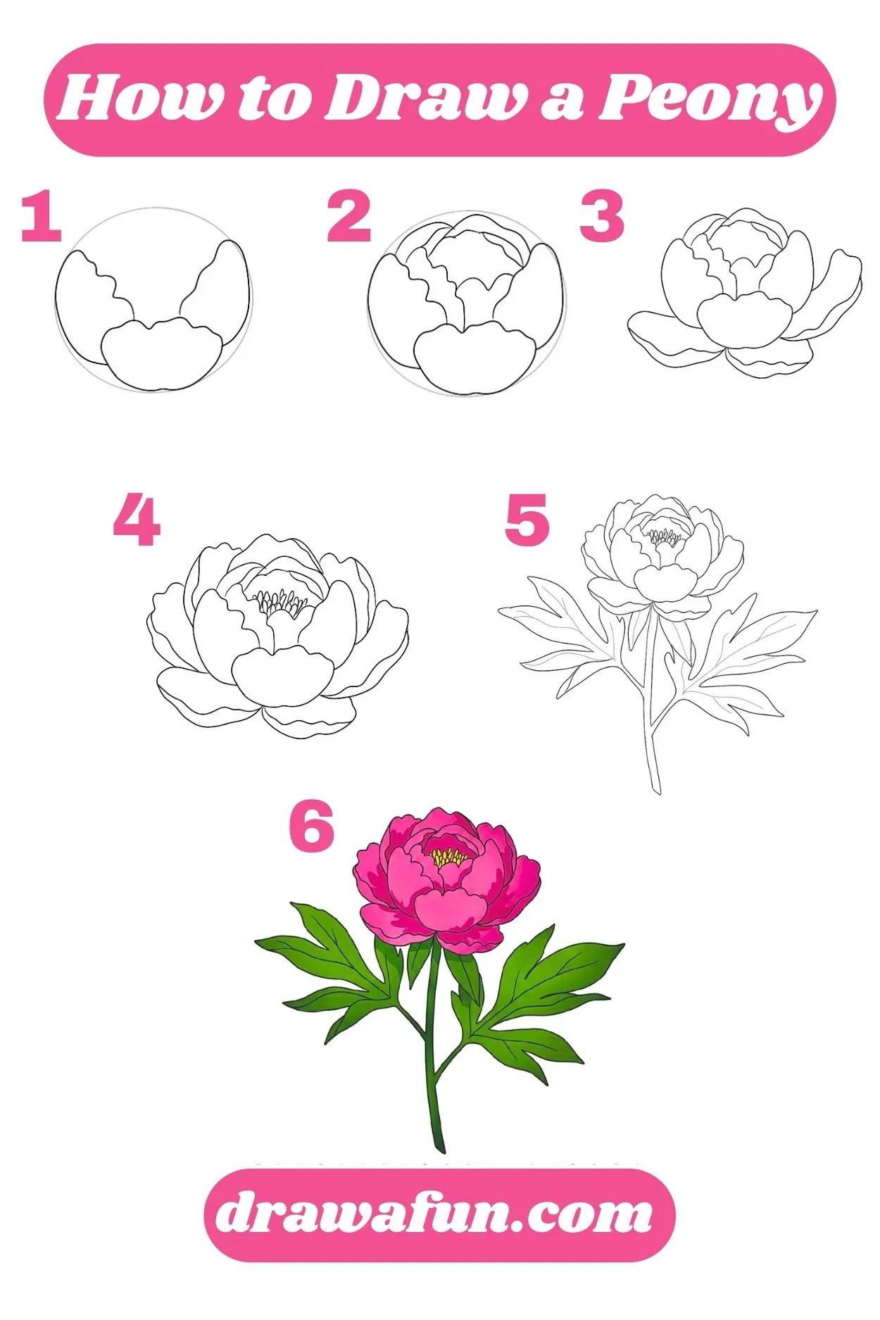 how to draw a peony step by step instructions