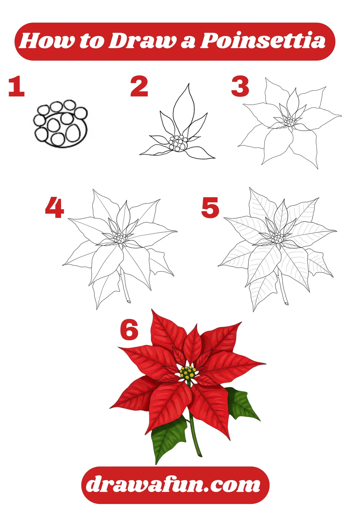 how to draw poinsettia step by step instructions