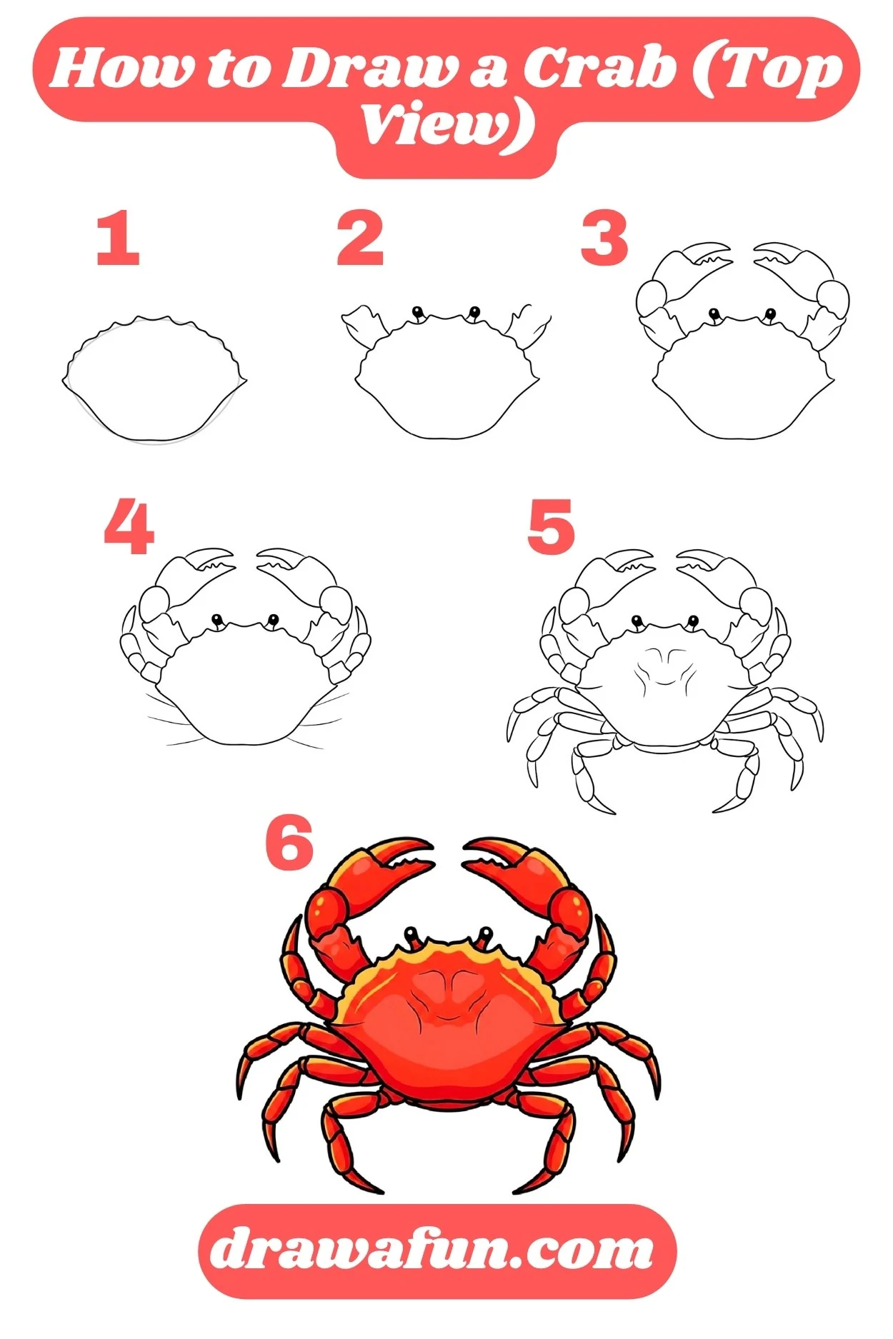 how to draw a crab from top view step by step instructions