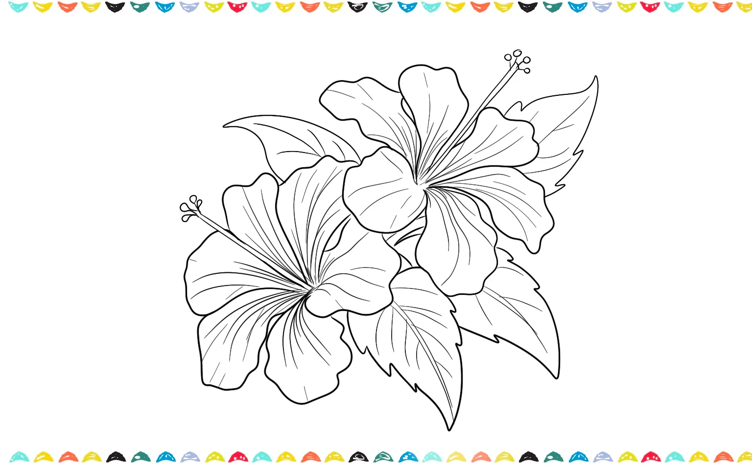 How to draw a hibiscus - completed hibiscus flower drawing with double flower detail step 10