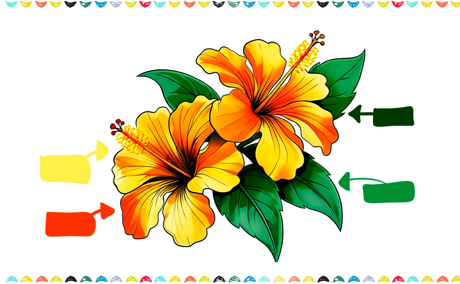 Hibiscus flower drawing tutorial - coloring tips step 11