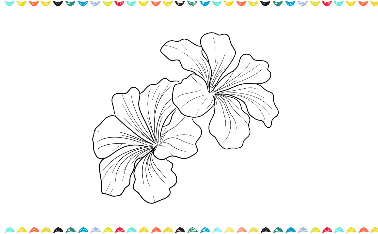 Add gentle curved lines starting from the center outward to the double hibiscus flower drawing step 5