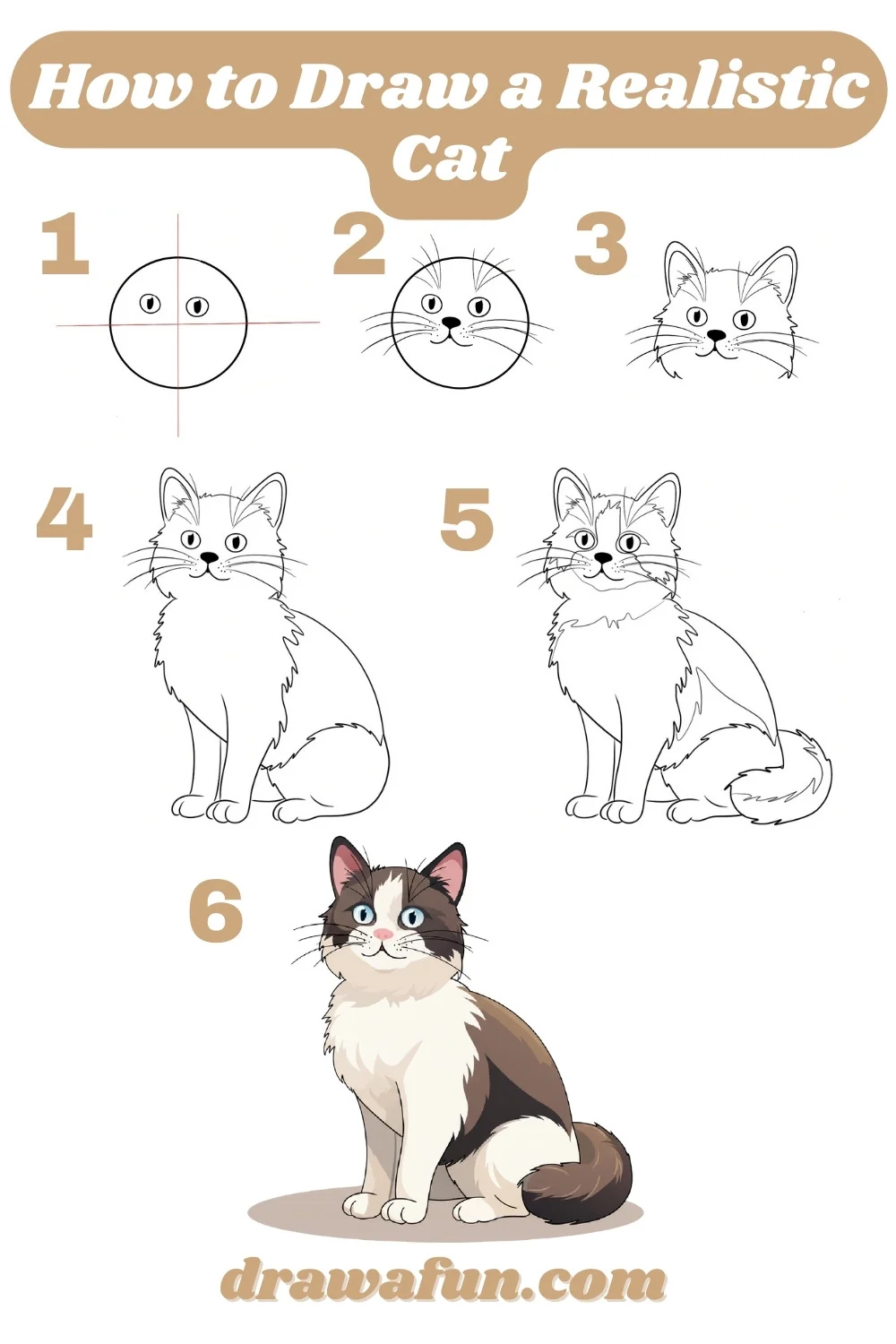 how to draw a realistic cat step by step instructions 