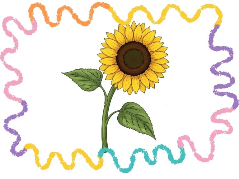 how to draw a sunflower cover image