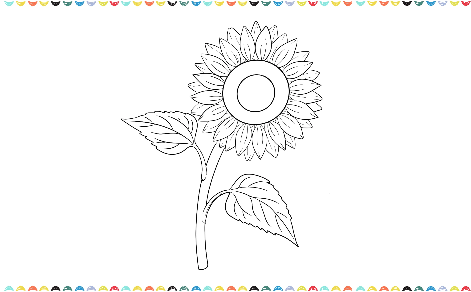 Add veins to the leaves of sunflower. Each leaf has a central line and smaller lines branching out to represent the veins step 10