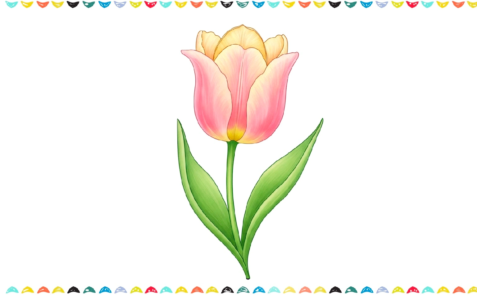how to draw a tulip - colored finished drawing of tulip flower step 6 