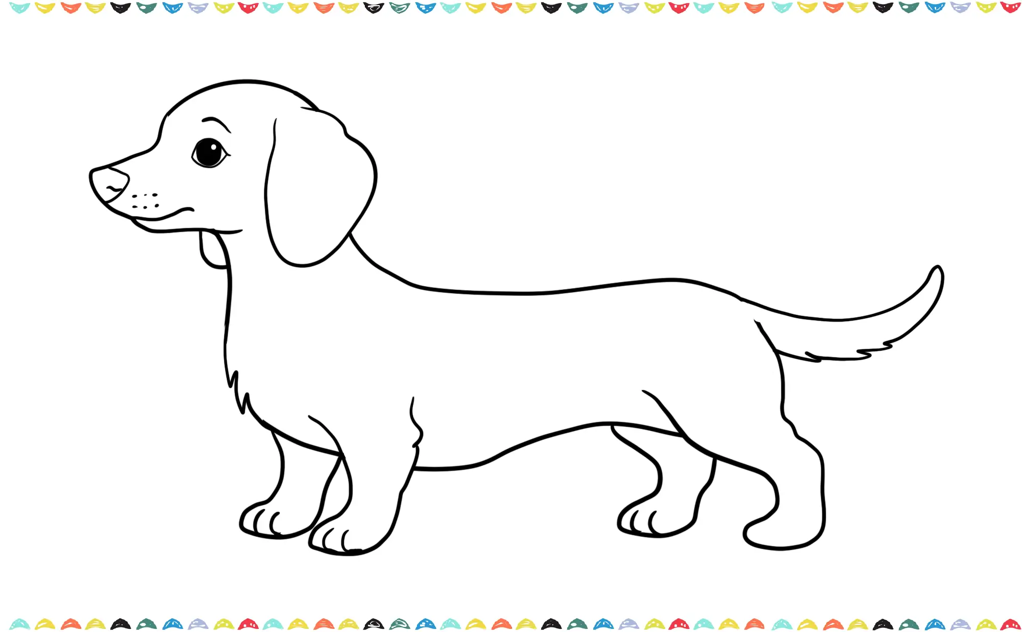 Tracing the pencil outlines with a dark marker and adding small jagged lines to represent fluffy fur on the dog's chest and ears step 12