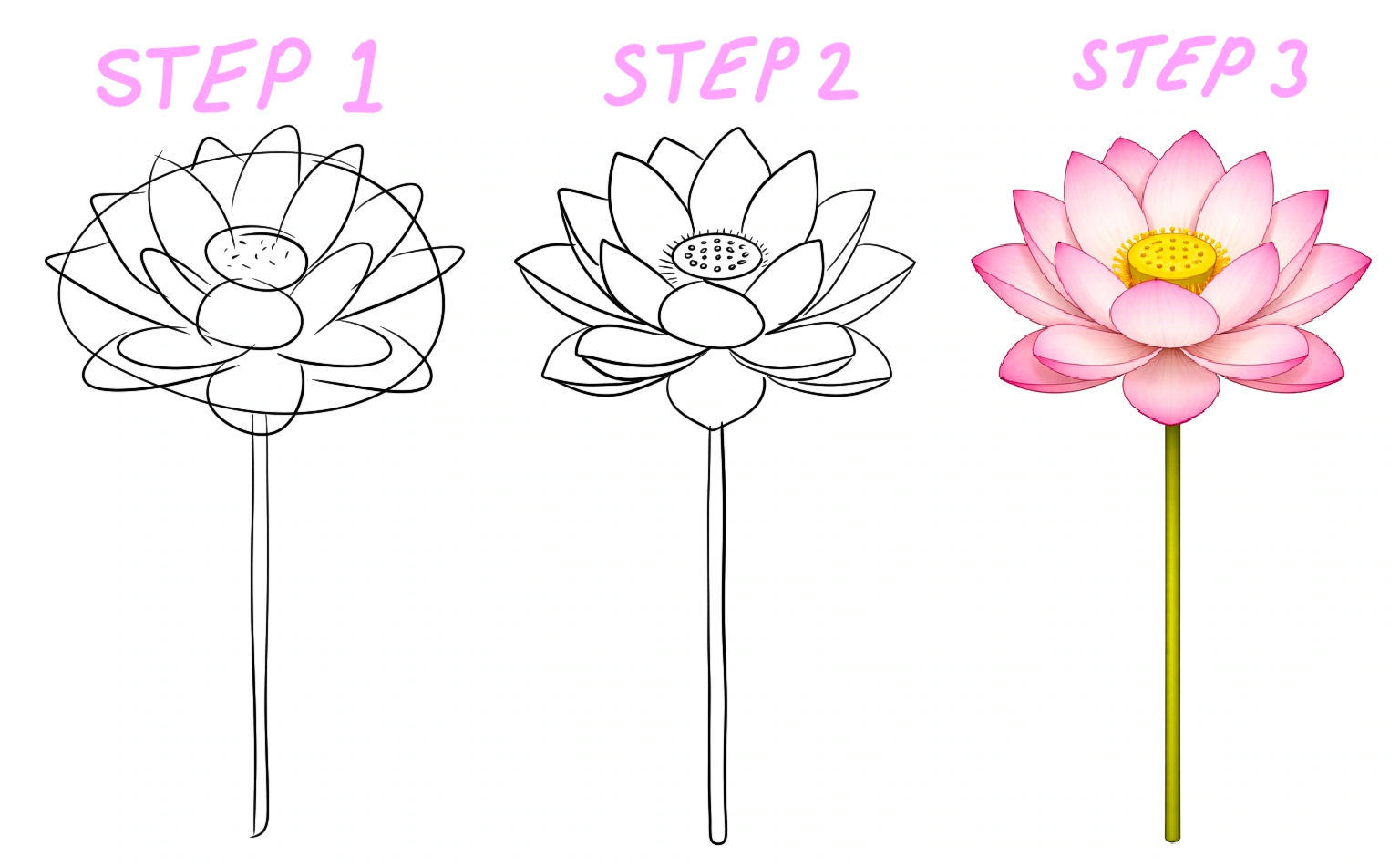 lotus flower illustration with layered symmetrical petals and rounded shape