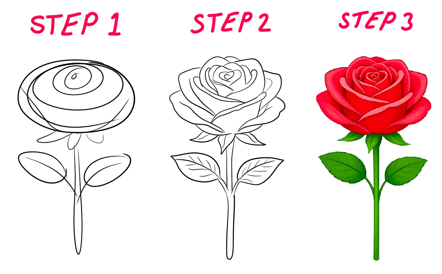 red rose flower illustration for kids drawing reference with clear layered petals