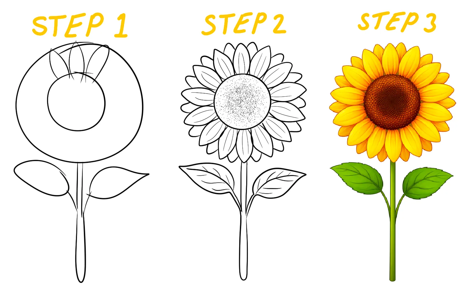 sunflower illustration with large round center and evenly spaced petals for drawing