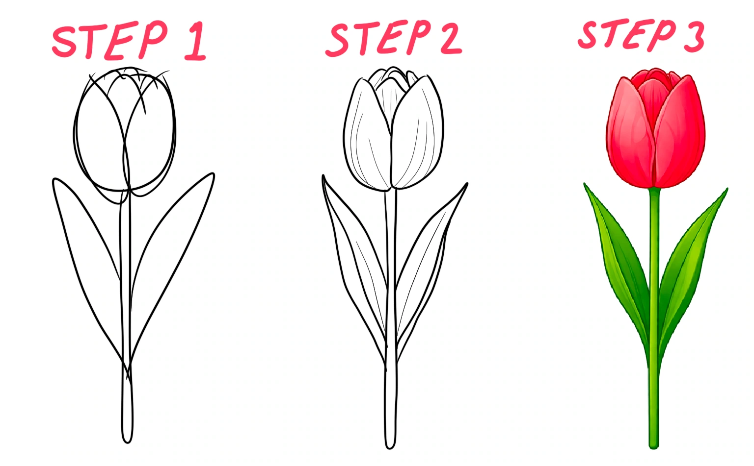 simple tulip flower illustration with smooth petals for beginner drawing tutorial