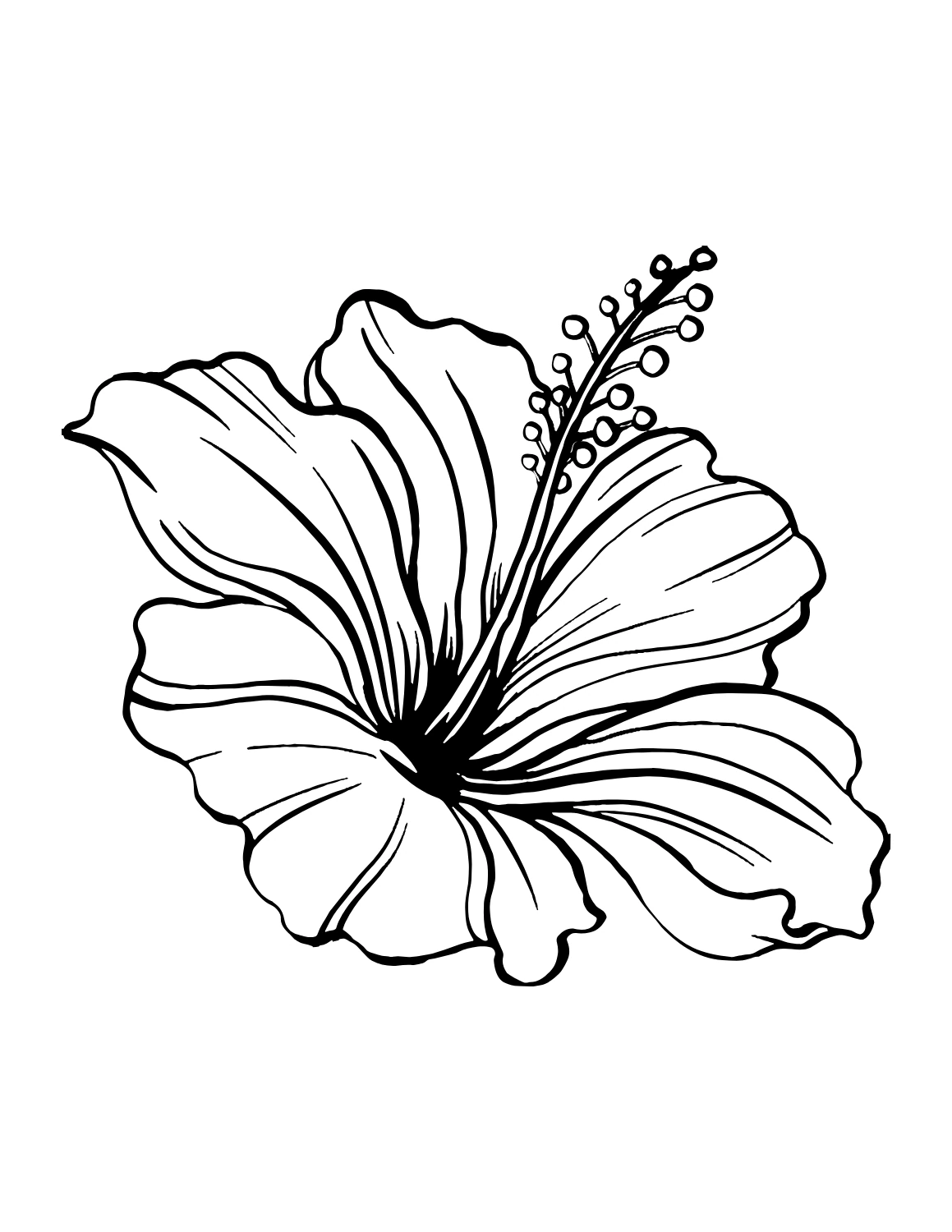 Bold line art hibiscus flower drawing with thick outlines