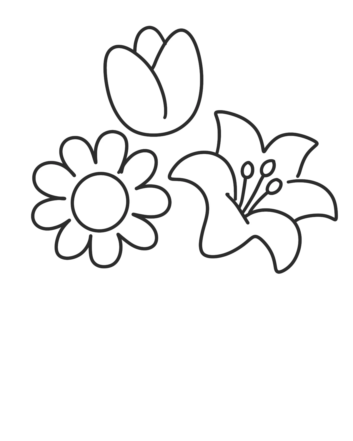 Step 4 of a cute flower bouquet drawing showing a lily flower next to the daisy and tulip.