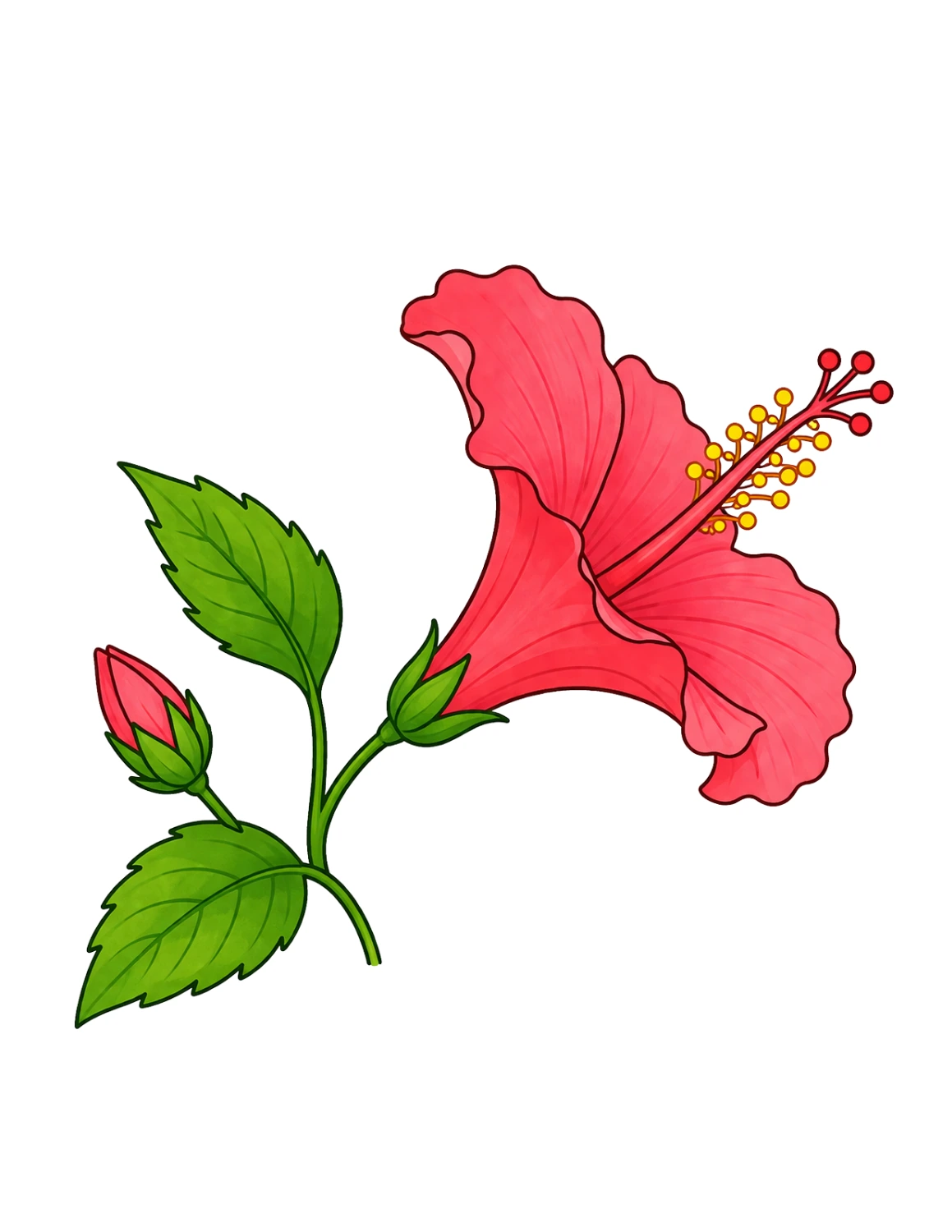 Side view red hibiscus sketch with petals